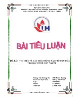 Tiểu luận chất chống oxy hóa