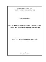 Cơ chế seesaw cho sinh khối lượng neutrino trong một số mở rộng của mô hình chuẩn (LV01959) 