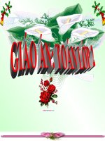 Bài giảng Toán 2 bài Phép trừ (không nhớ) trong phạm vi 1000 