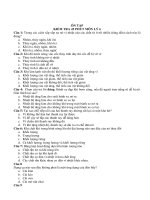 20 câu hỏi ôn tập kiểm tra môn vật lý lớp 6 