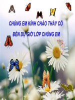 Bài giảng Toán 2 bài Ôn tập về hình học 