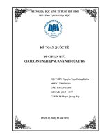 Tiểu luận môn kế toán quốc tế bộ chuẩn mực cho doanh nghiệp vừa và nhỏ của IFRS 