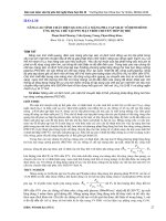 NÂNG CAO TÍNH CHẤT điện QUANG của MÀNG PHA tạp SILIC vô ĐỊNH HÌNH ỨNG DỤNG CHẾ tạo PIN mặt TRỜI CHUYỂN TIẾP dị THỂ 