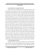 Đề tài Lớp Đại học Luật Một số vấn đề về điều kiện di chúc có hiệu lực trong bộ luật dân sự năm 2005