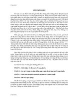 Tiểu luận kinh tế phát triển: Đô thị hóa tại trung Quốc