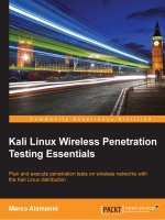 kali linux wireless penetration marco alamanni