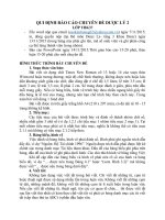 hinh thuc trinh bay chuyen de 