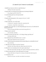 CAU HOI ON TAP LY THUYET TMH 