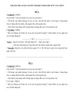 Chuyên đề ôn thi học sinh giỏi môn ngữ văn lớp 9 