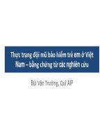 Thực trạng đội mũ bảo hiểm trẻ em ở Việt Nam – bằng chứng từ các nghiên cứu