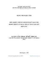 Điều khiển thích nghi bám quỹ đạo cho robot RD5NT sử dụng thuật toán LQG kết hợp LFFC