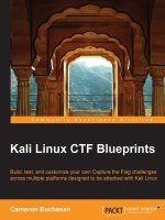 Kali linux CTF blueprints buchanan, cam