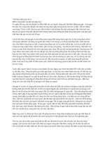 thuyết minh về cây lúa việt nam