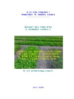 NGHIÊN CỨU SỰ HÚT THU Cu, Pb, Zn VÀ TÌM HIỂU KHẢ NĂNG SỬ DỤNG PHÂN BÓN ĐỂ GIẢM THIỂU SỰ TÍCH LŨY CHÚNG TRONG RAU CẢI XANH VÀ RAU XÀ LÁCH