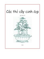 Các thế cây cảnh đẹp