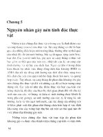 Nguyên nhân gây nên tính độc của thực vât