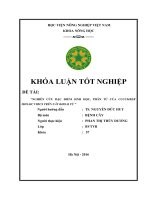 NGHIÊN cứu đặc điểm SINH học, PHÂN tử của CUCUMBER MOSAIC VIRUS TRÊN cây KHOAI