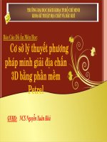 Báo cáo cơ sở lý thuyết phương pháp minh giải địa chấn 3d bằng phần mềm petrel