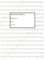 Marketing Intelligence Assignment 1