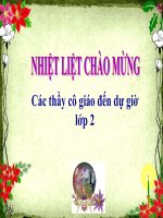 Bài giảng Toán 2 bài 9 cộng với một số 9+5