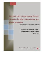 Bài thuyết trình tài chính công và tăng trưởng dài hạn của châu âu  bằng chứng từ phân tích dữ liệu panel data