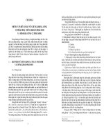 Phương pháp định giá các công cụ chứng khoán phái sinh và một số gợi ý cho Việt Nam