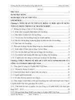 Một số giải pháp nâng cao hiệu quả sử dụng vốn lưu động của công ty cổ phần SHD việt nam ”