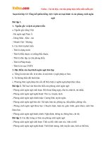 Soạn bài lớp 12: Tổng kết phần tiếng việt: Lịch sử, loại hình và các phong cách ngôn ngữ