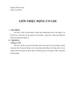 NGUYENTHANHTRONG-C14A.OTO3-GIOI THIEU CHI TIET VE DONG CO GDI