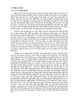 SKKN một số giải pháp nhằm nâng cao hiệu quả công tác BDGSG môn ngữ văn (bản sửa)