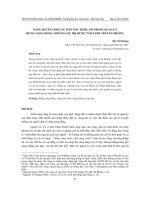 NÂNG QUYỀN CHO CÁC DÂN TỘC THIỂU SỐ TRONG QUẢN LÝ RỪNG CỘNG ĐỒNG: NHỮNG GIÁ TRỊ RỪNG TÂM LINH TRUYỀN THỐNG