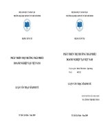 Phát triển thị trường trái phiếu doanh nghiệp tại Việt Nam