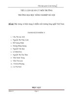 Tiểu luận QLMT: Ô nhiễm môi trường làng nghề
