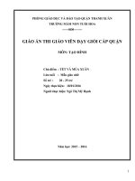 Giáo án giỏi cấp quận môn tạo hình chủ đề tết và mùa xuân 