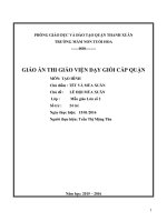 Giáo án giỏi cấp quận môn tạo hình chủ đê lễ hội mùa xuân 