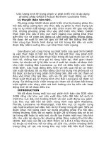 Đánh giá kinh tế trong phạm vi phát triển mỏ và áp dụng phương pháp GAGD ở Actual Northern Louisiana Field.