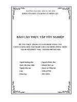 THỰC TRẠNG VÀ GIẢI PHÁP NÂNG CAO  CHẤT LƯỢNG ĐÀO TẠO NGHỀ CHO LAO ĐỘNG NÔNG THÔN  TẠI HUYỆN PHÚC THỌ  THÀNH PHỐ HÀ NỘI