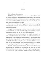 LUẬN văn tốt NGHIỆP   ĐẢNG CỘNG sản VIỆT NAM LÃNH đạo THỰC HIỆN xóa đói GIẢM NGHÈO  từ năm 2001 đến năm 2006