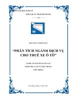 Bài tập cá nhân số 2 quản trị chiến lược ngành cho thuê ô tô