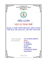 vật lí tinh thể :Mười bốn kiểu mạng Bravais, độ chặt sít...