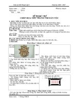 GIÁO án mỹ THUẬT lớp 6 TOÀN tập GIÁO án mỹ THUẬT TRUNG học cơ sở mẫu mới năm 2017 