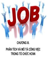 Phân tích và mô tả công việc trong tổ chức hành chính nhà nước
