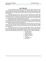 công ty phân bón Việt Ý