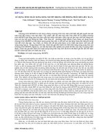 SỬ DỤNG TÍNH TOÁN SONG SONG MCNP5 TRONG mô PHỎNG PHÂN bố LIỀU TIA x 