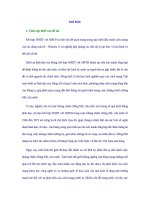 LUẬN văn THẠC sĩ   ĐẢNG CỘNG sản VIỆT NAM LÃNH đạo kết hợp sức MẠNH dân tộc với sức MẠNH THỜI đại TRONG KHÁNG CHIẾN CHỐNG mỹ (1965 1973)