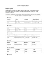 Ngữ pháp tiếng Anh danh từ