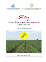 so tay quan ly dich hai tren cay mia