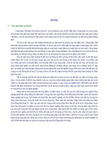 LUẬN văn THẠC sĩ   VAI TRÒ của CÔNG đoàn TRONG NÂNG CAO ý THỨC XHCN CHO CÔNG NHÂN ở các DOANH NGHIỆP có vốn đầu tư nước NGOÀI của TỈNH ĐỒNG NAI