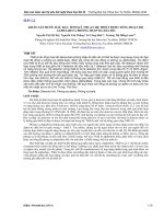 KHẢO sát bước đầu đặc TÍNH kỹ THUẬT hệ THIẾT bị đo TỔNG HOẠT độ ALPHA BETA PHÔNG THẤP đa đầu đo 