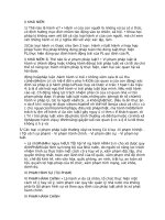 Pháp luận đại cương: Vi phạm pháp luật và trách nhiệm pháp lý